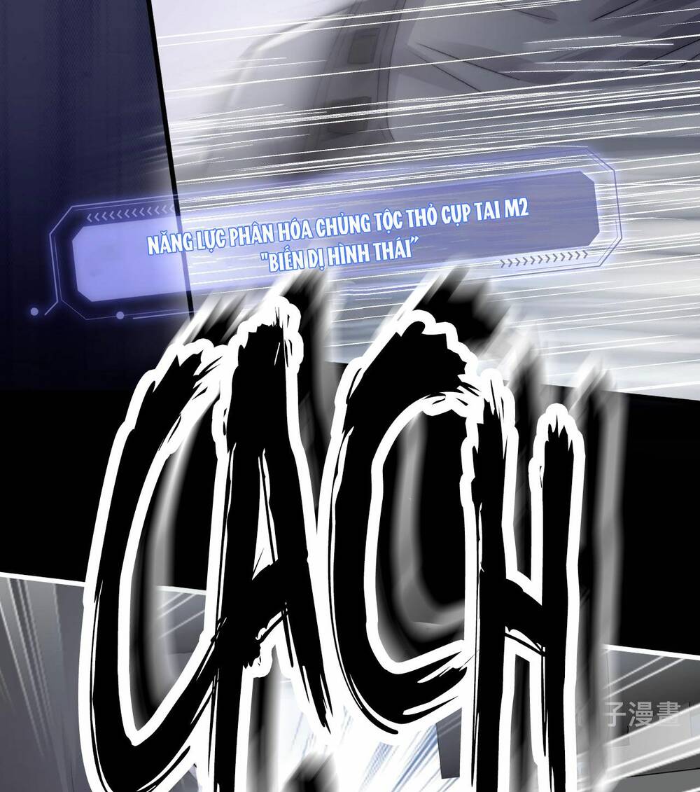 Chấp Sự Thỏ Cụp Tai Chapter 10 - Trang 2