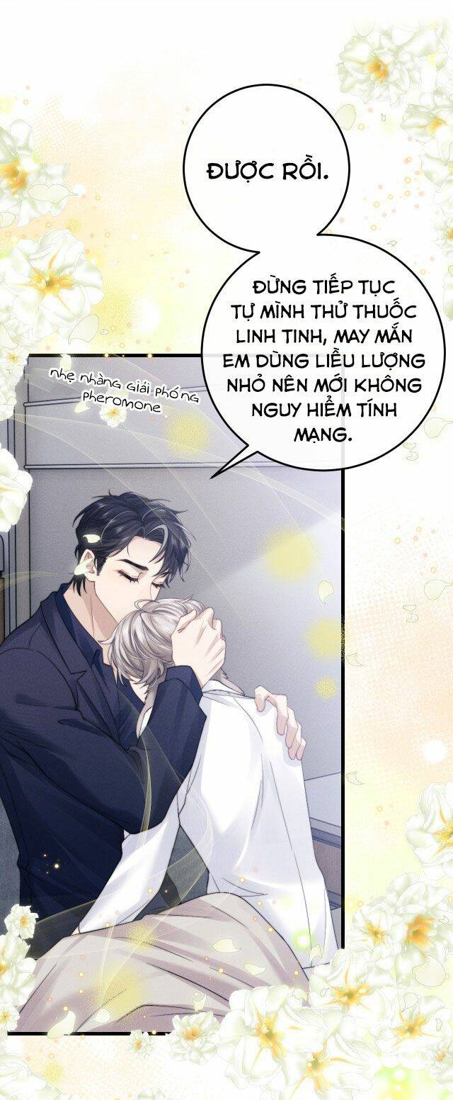 Chấp Sự Thỏ Cụp Tai Chapter 11 - Trang 2