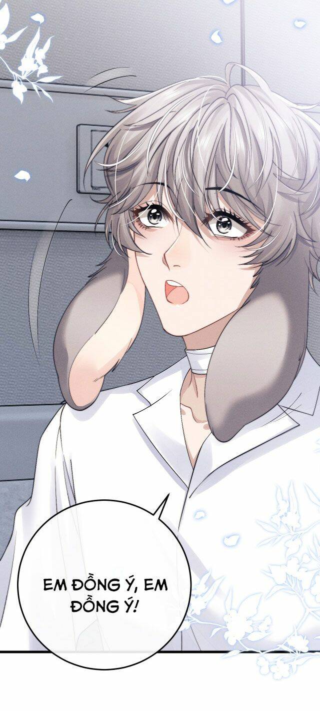 Chấp Sự Thỏ Cụp Tai Chapter 11 - Trang 2