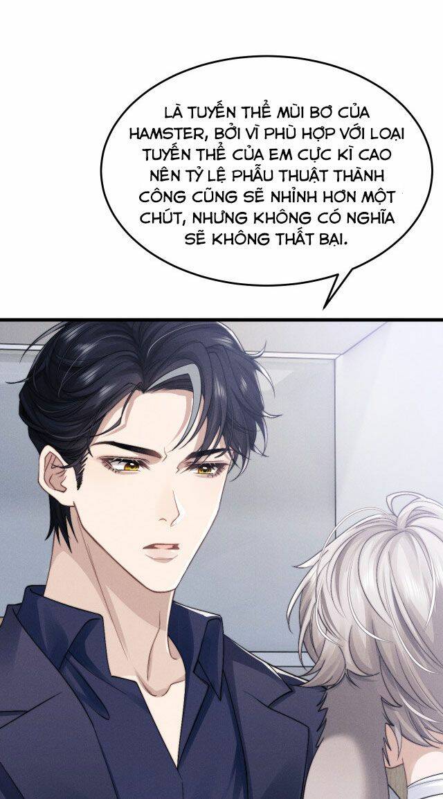 Chấp Sự Thỏ Cụp Tai Chapter 11 - Trang 2