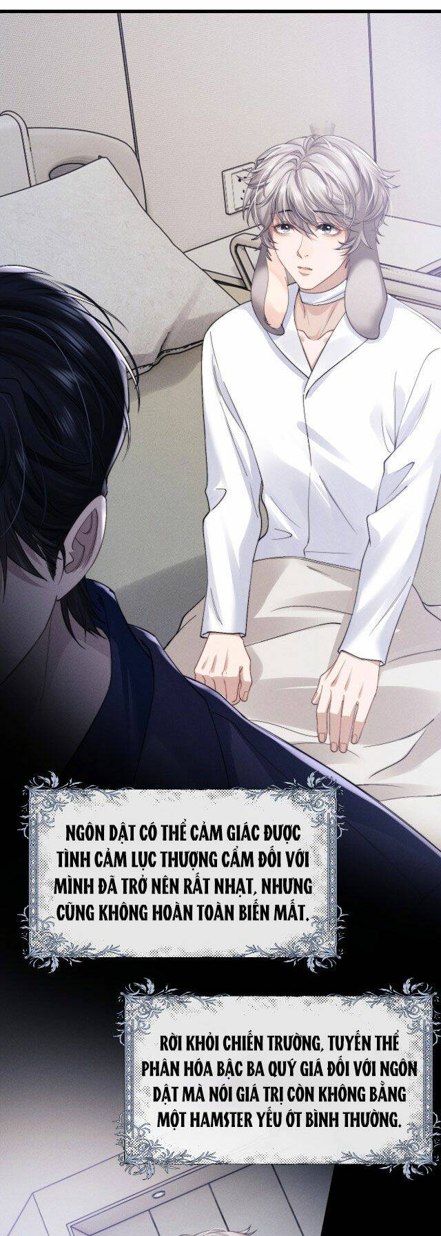 Chấp Sự Thỏ Cụp Tai Chapter 11 - Trang 2