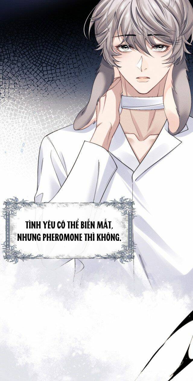 Chấp Sự Thỏ Cụp Tai Chapter 11 - Trang 2