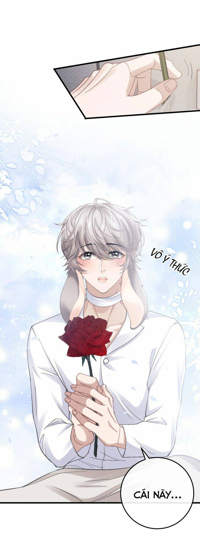 Chấp Sự Thỏ Cụp Tai Chapter 11 - Trang 2
