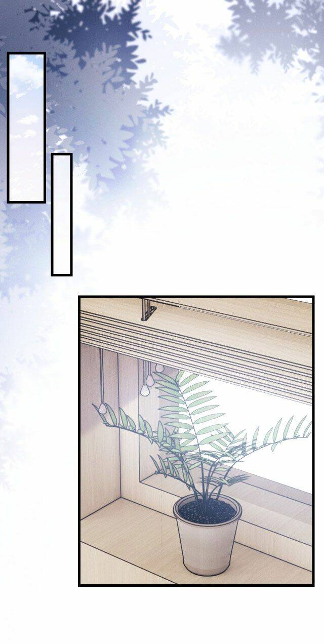 Chấp Sự Thỏ Cụp Tai Chapter 11 - Trang 2