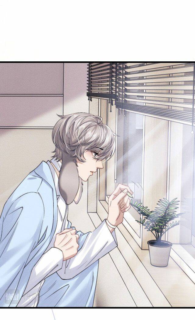 Chấp Sự Thỏ Cụp Tai Chapter 11 - Trang 2