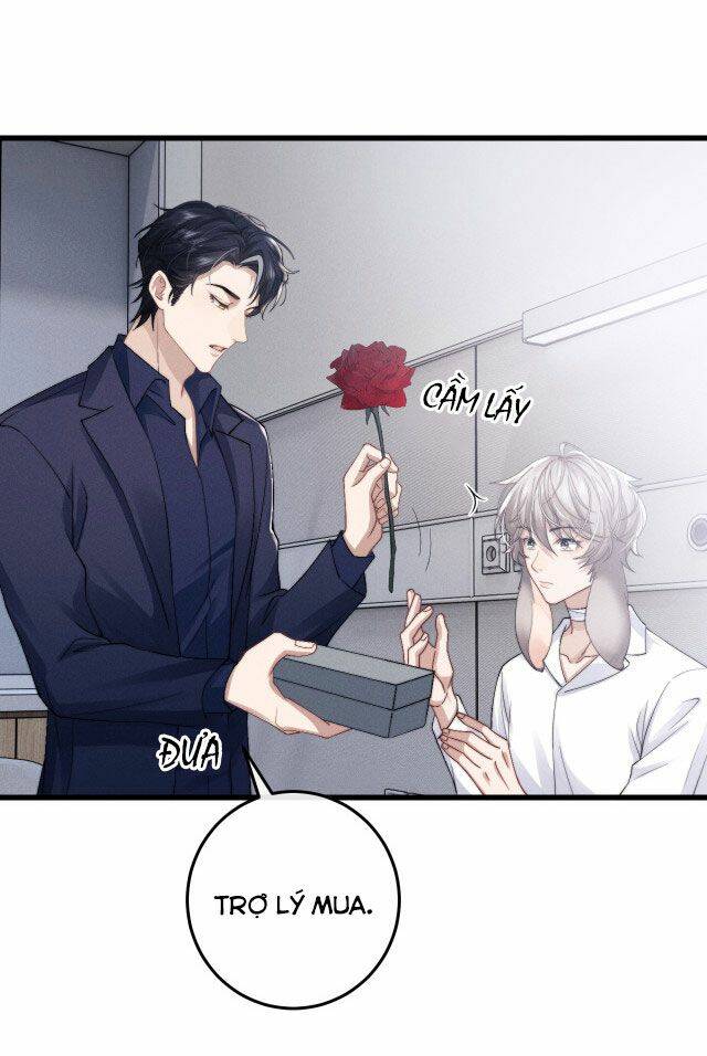 Chấp Sự Thỏ Cụp Tai Chapter 11 - Trang 2