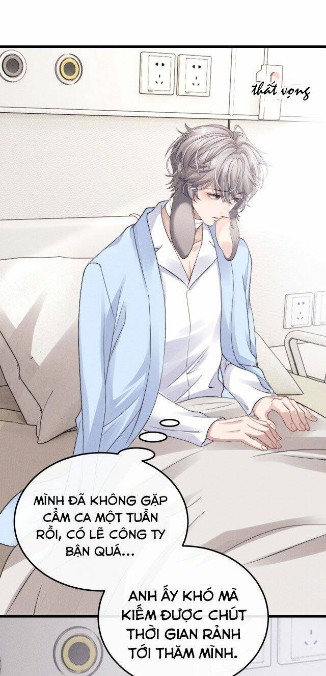 Chấp Sự Thỏ Cụp Tai Chapter 11 - Trang 2