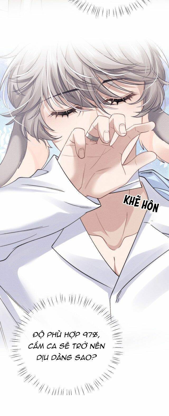 Chấp Sự Thỏ Cụp Tai Chapter 11 - Trang 2