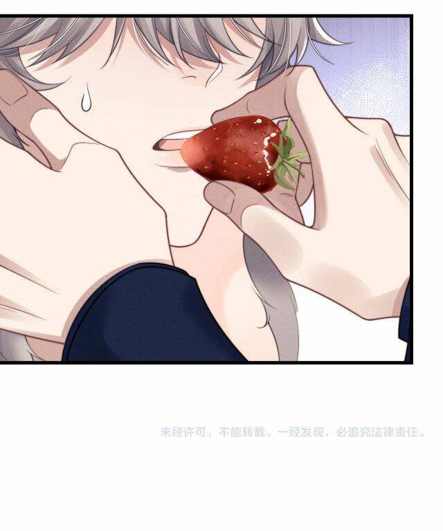 Chấp Sự Thỏ Cụp Tai Chapter 12 - Trang 2