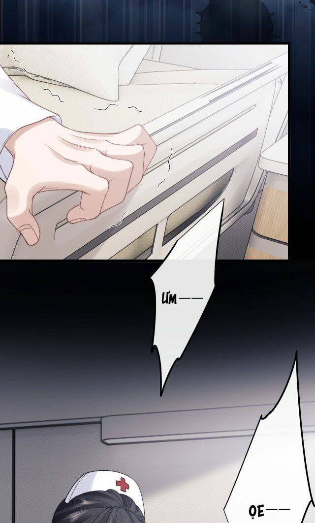 Chấp Sự Thỏ Cụp Tai Chapter 12 - Trang 2