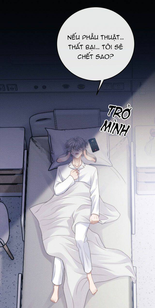 Chấp Sự Thỏ Cụp Tai Chapter 13 - Trang 2