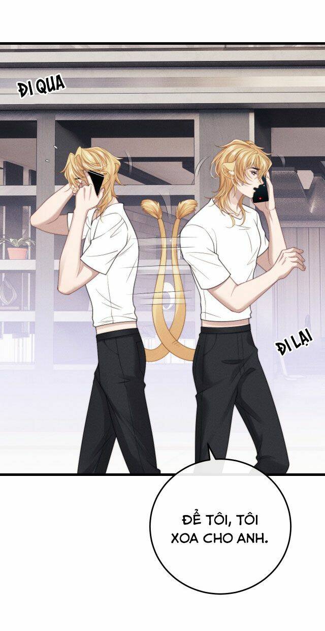 Chấp Sự Thỏ Cụp Tai Chapter 13 - Trang 2