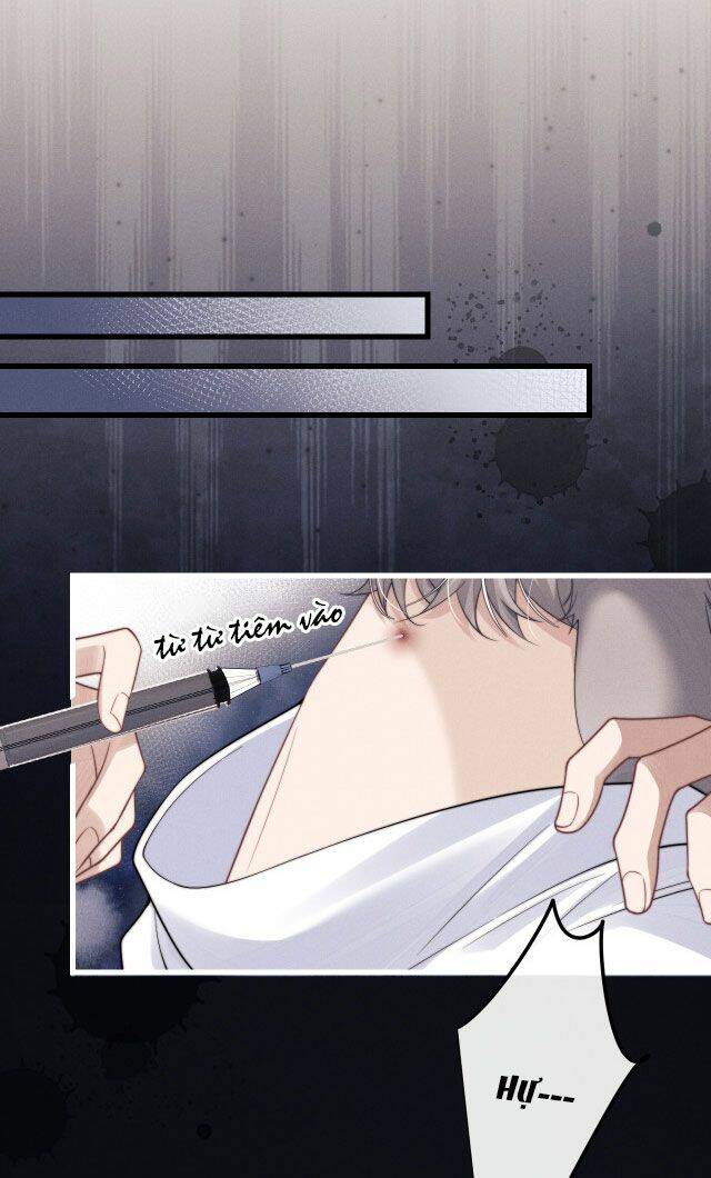 Chấp Sự Thỏ Cụp Tai Chapter 13 - Trang 2