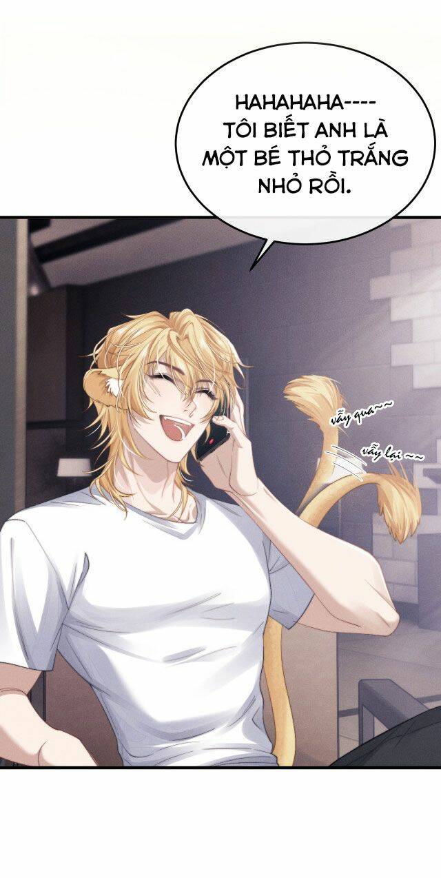 Chấp Sự Thỏ Cụp Tai Chapter 13 - Trang 2