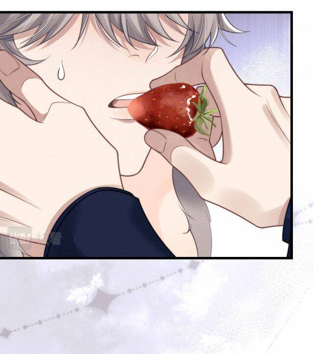 Chấp Sự Thỏ Cụp Tai Chapter 13 - Trang 2