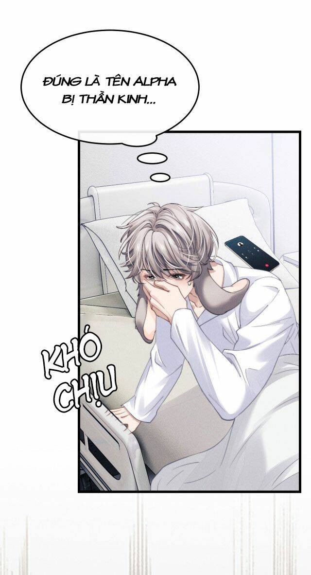 Chấp Sự Thỏ Cụp Tai Chapter 13 - Trang 2