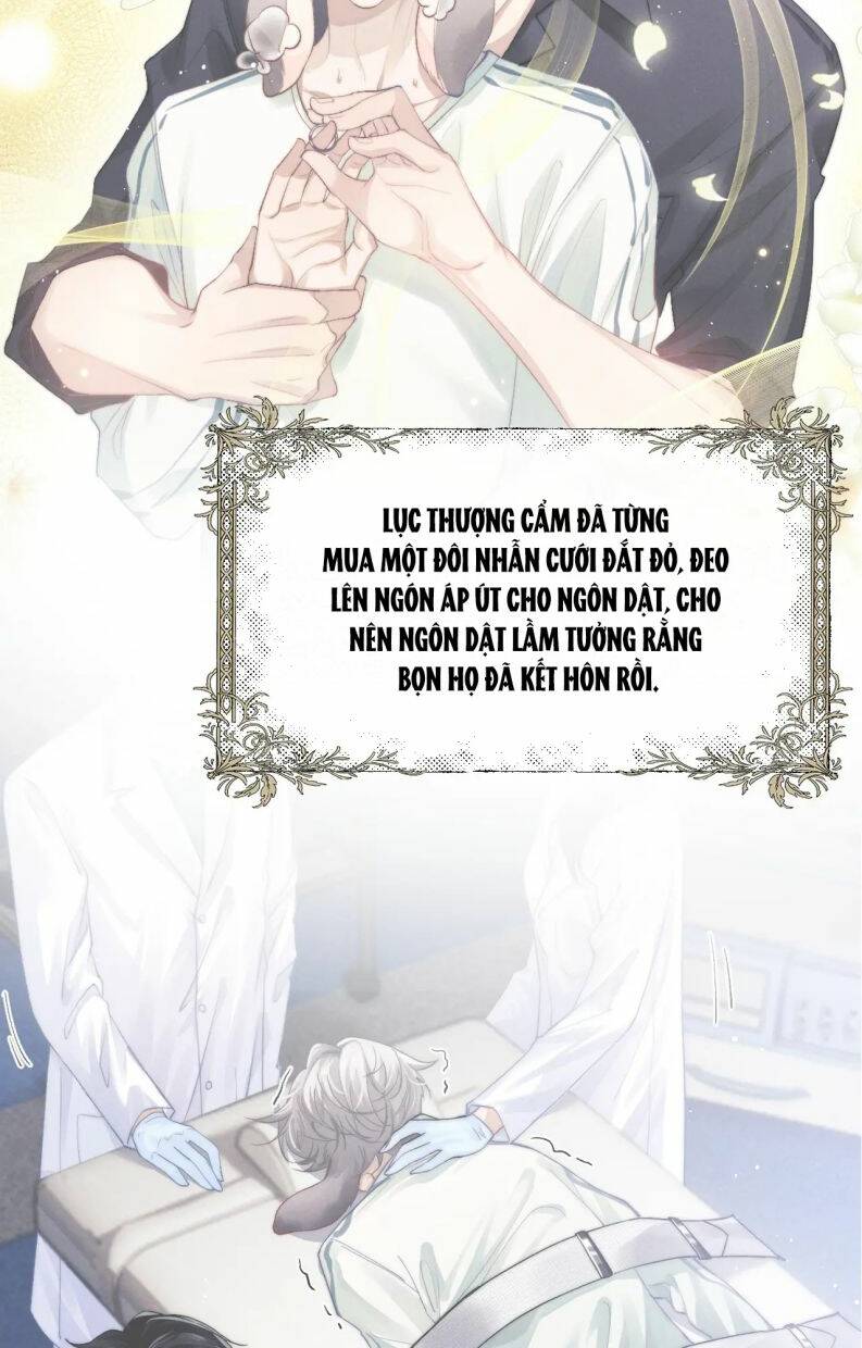 Chấp Sự Thỏ Cụp Tai Chapter 14 - Trang 2