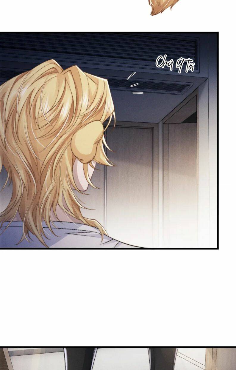 Chấp Sự Thỏ Cụp Tai Chapter 14 - Trang 2