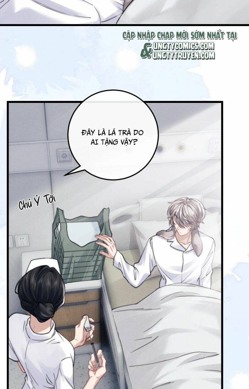 Chấp Sự Thỏ Cụp Tai Chapter 15 - Trang 2