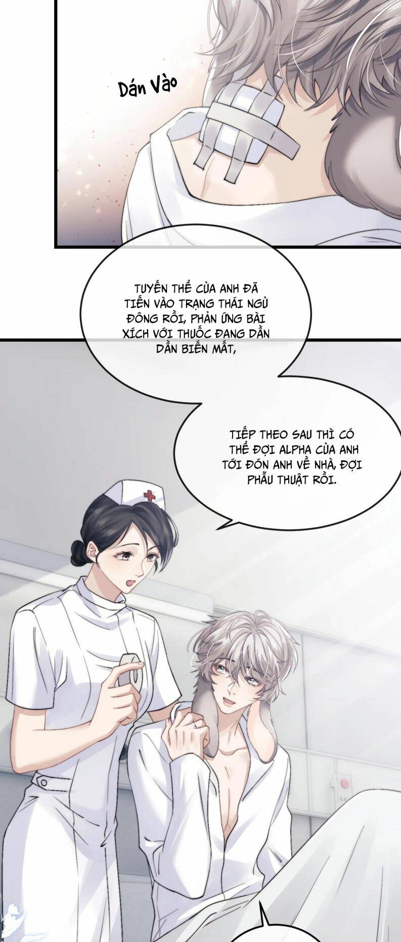 Chấp Sự Thỏ Cụp Tai Chapter 15 - Trang 2