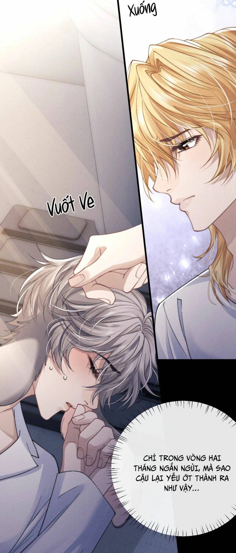 Chấp Sự Thỏ Cụp Tai Chapter 15 - Trang 2