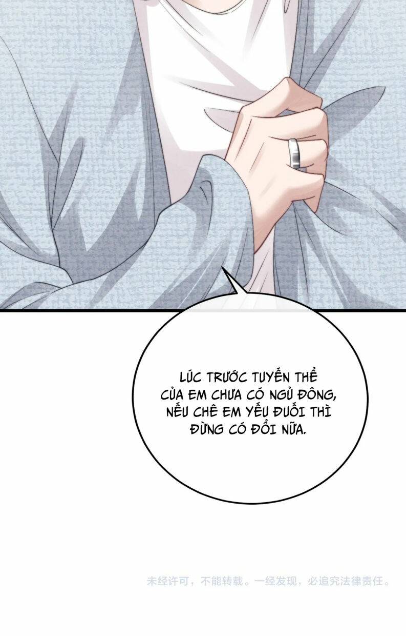 Chấp Sự Thỏ Cụp Tai Chapter 15 - Trang 2