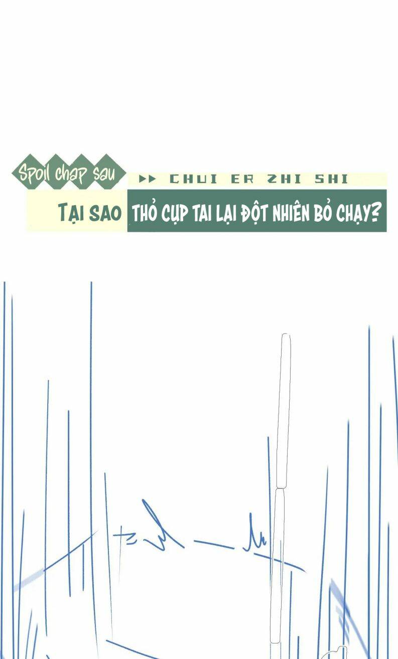 Chấp Sự Thỏ Cụp Tai Chapter 15 - Trang 2