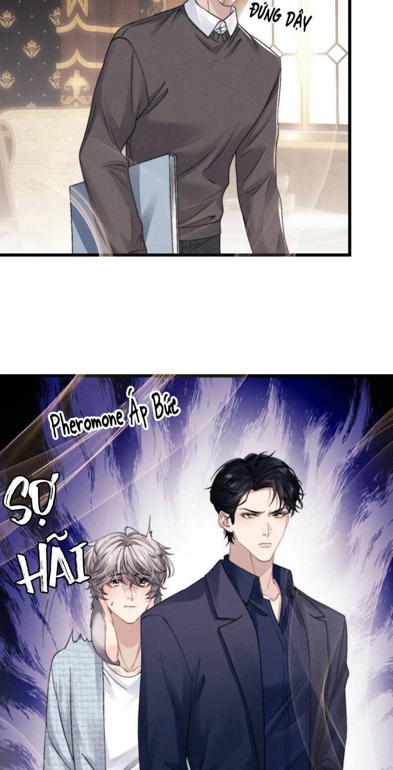 Chấp Sự Thỏ Cụp Tai Chapter 16 - Trang 2