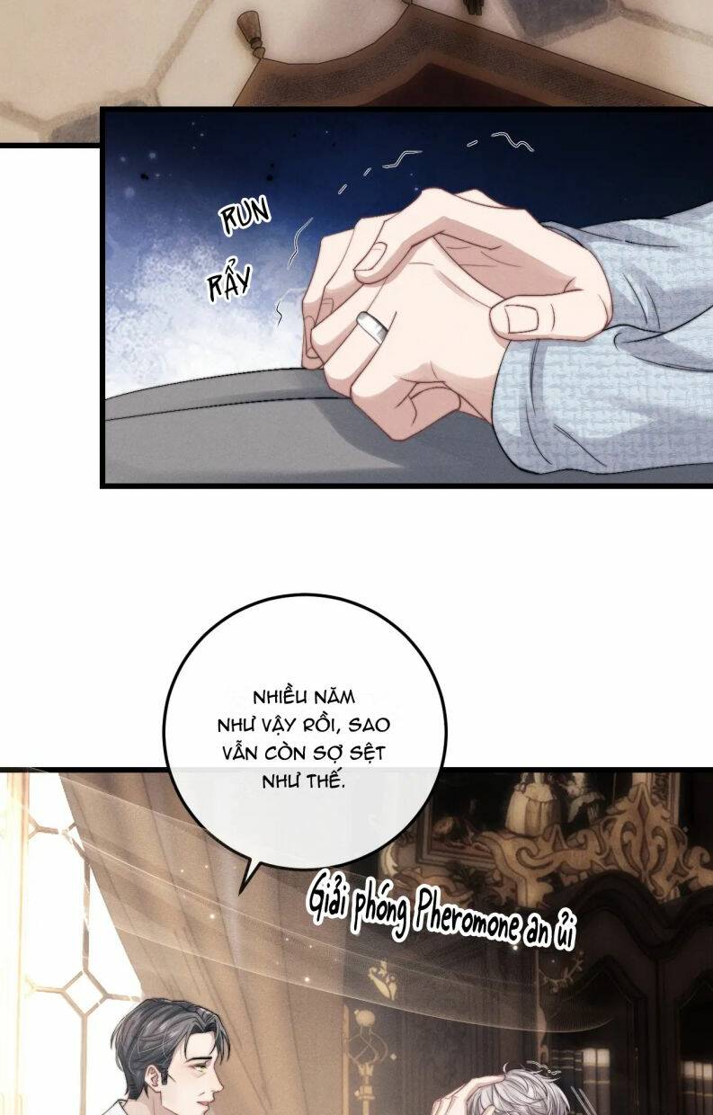 Chấp Sự Thỏ Cụp Tai Chapter 16 - Trang 2