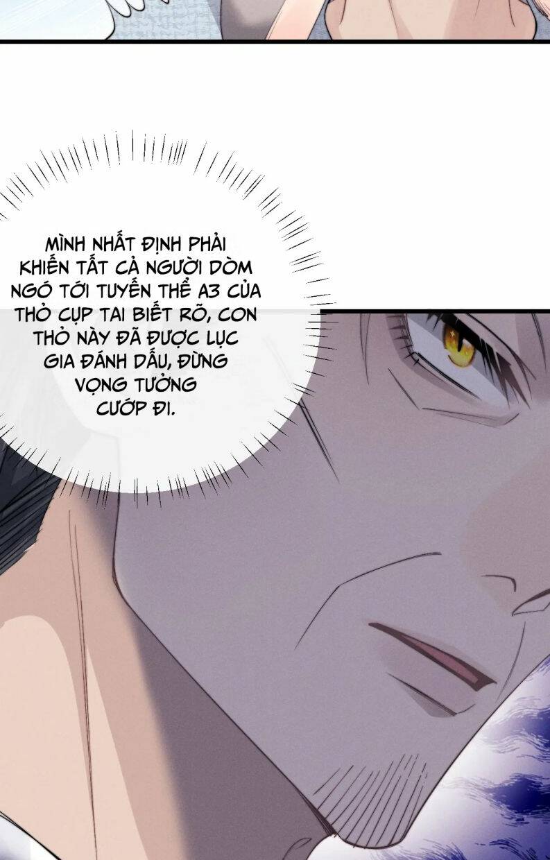 Chấp Sự Thỏ Cụp Tai Chapter 16 - Trang 2