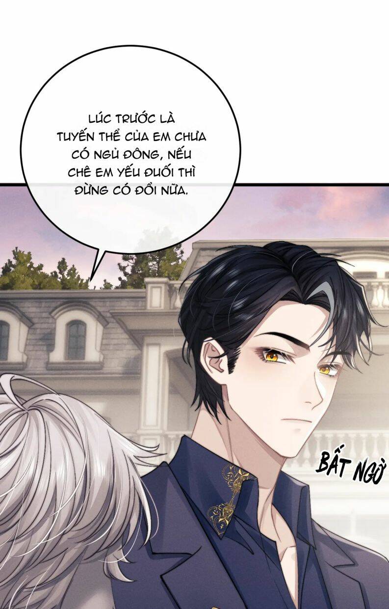 Chấp Sự Thỏ Cụp Tai Chapter 16 - Trang 2