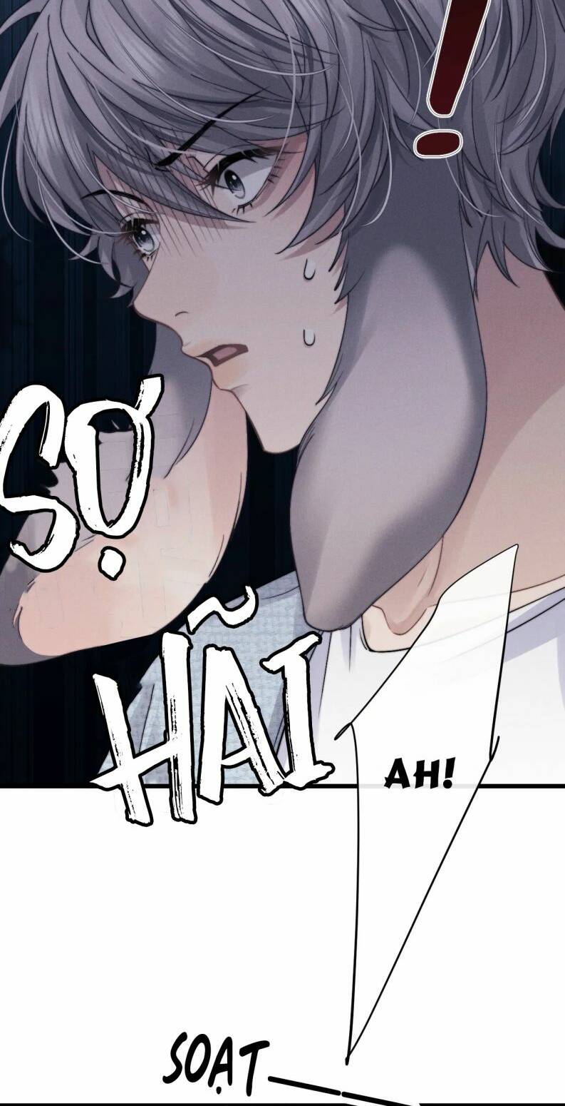 Chấp Sự Thỏ Cụp Tai Chapter 16 - Trang 2