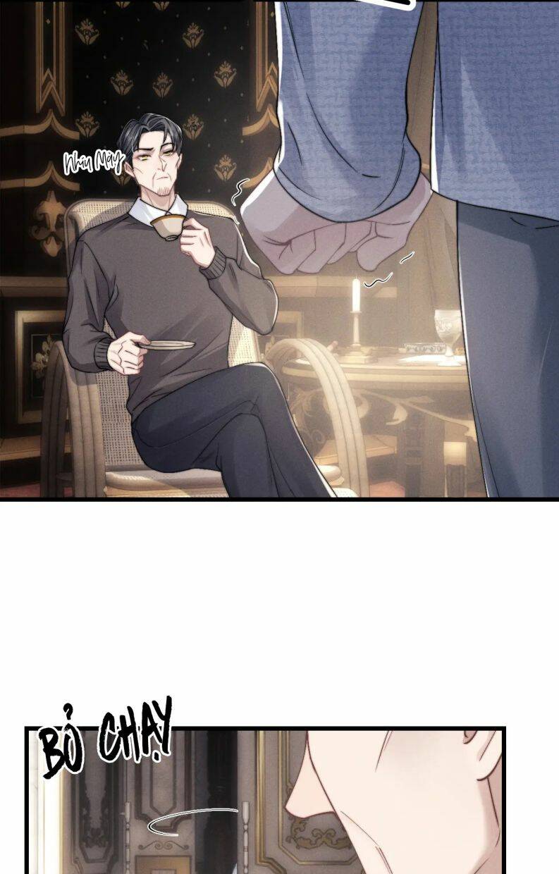 Chấp Sự Thỏ Cụp Tai Chapter 16 - Trang 2