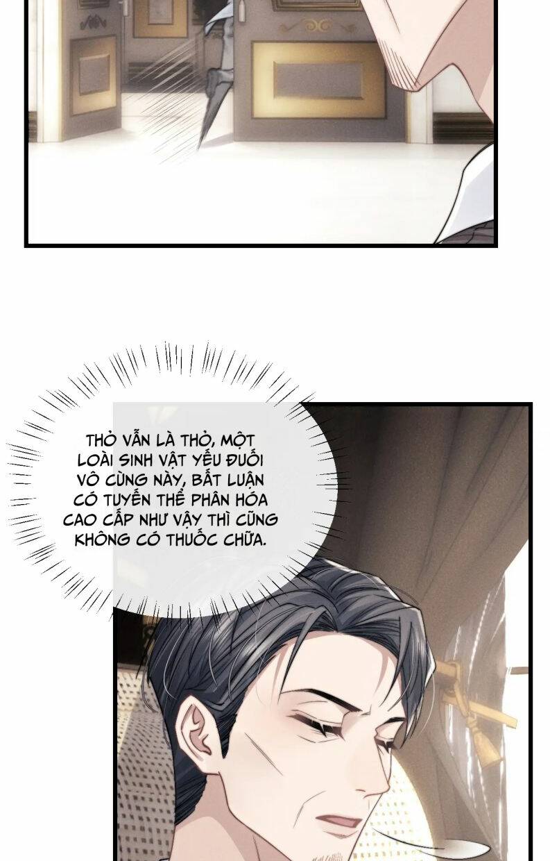 Chấp Sự Thỏ Cụp Tai Chapter 16 - Trang 2