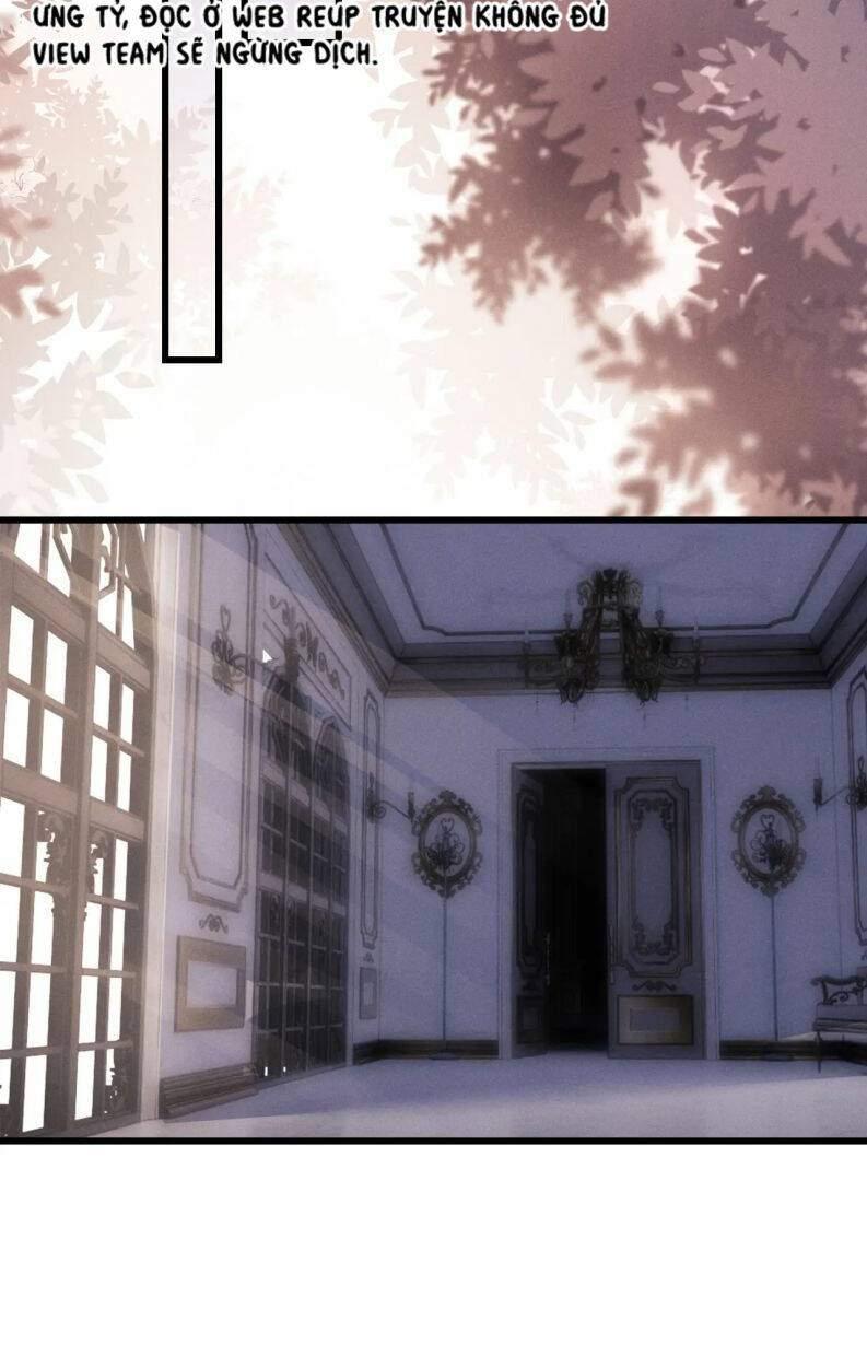 Chấp Sự Thỏ Cụp Tai Chapter 16 - Trang 2