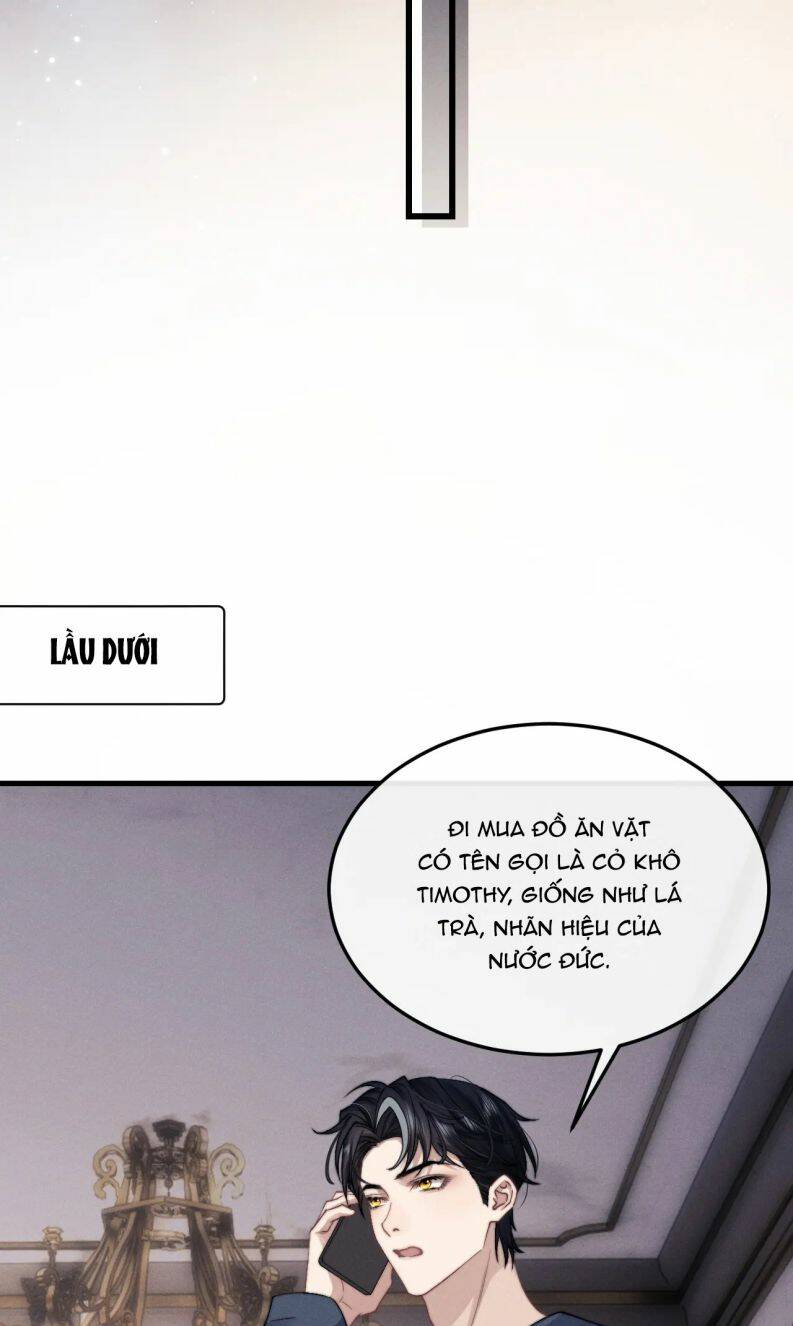 Chấp Sự Thỏ Cụp Tai Chapter 16 - Trang 2