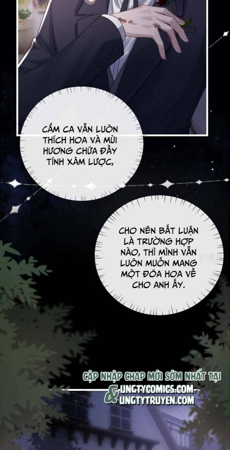 Chấp Sự Thỏ Cụp Tai Chapter 18 - Trang 2