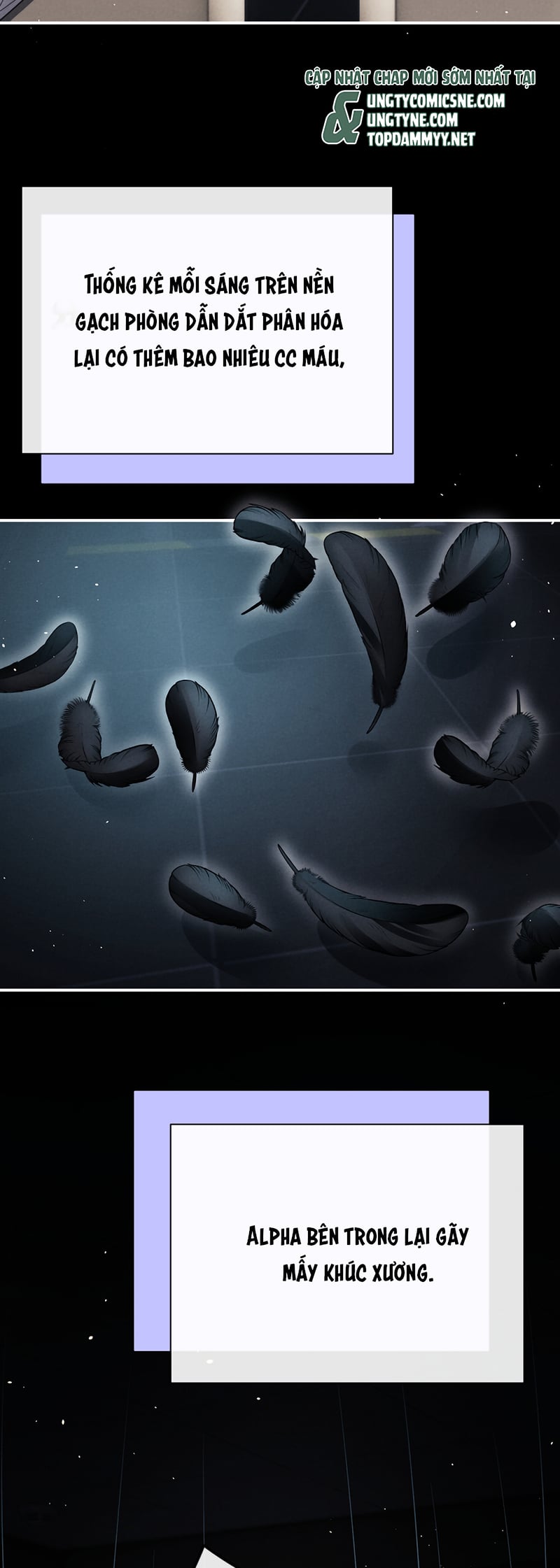 Chấp Sự Thỏ Cụp Tai Chapter 187 - Trang 2