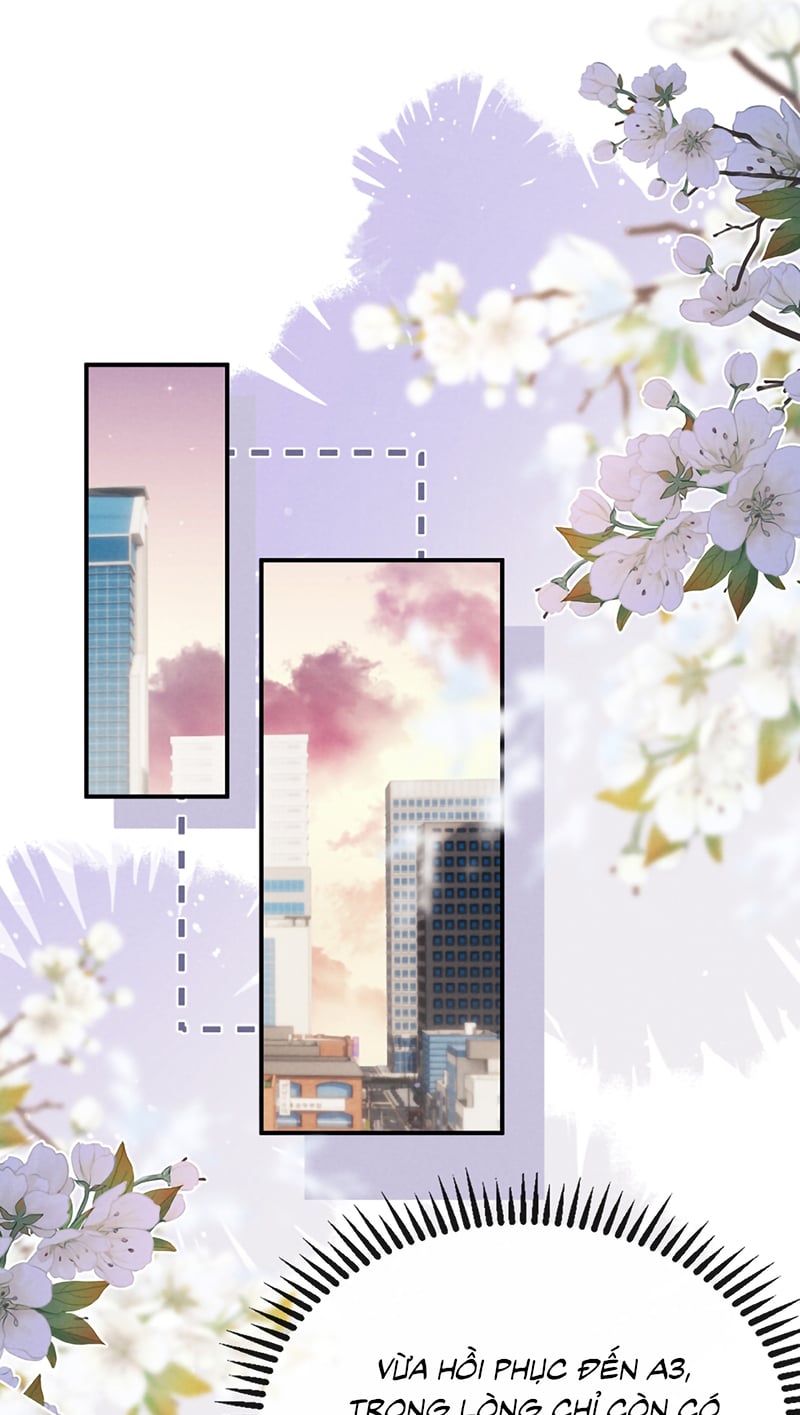 Chấp Sự Thỏ Cụp Tai Chapter 188 - Trang 2