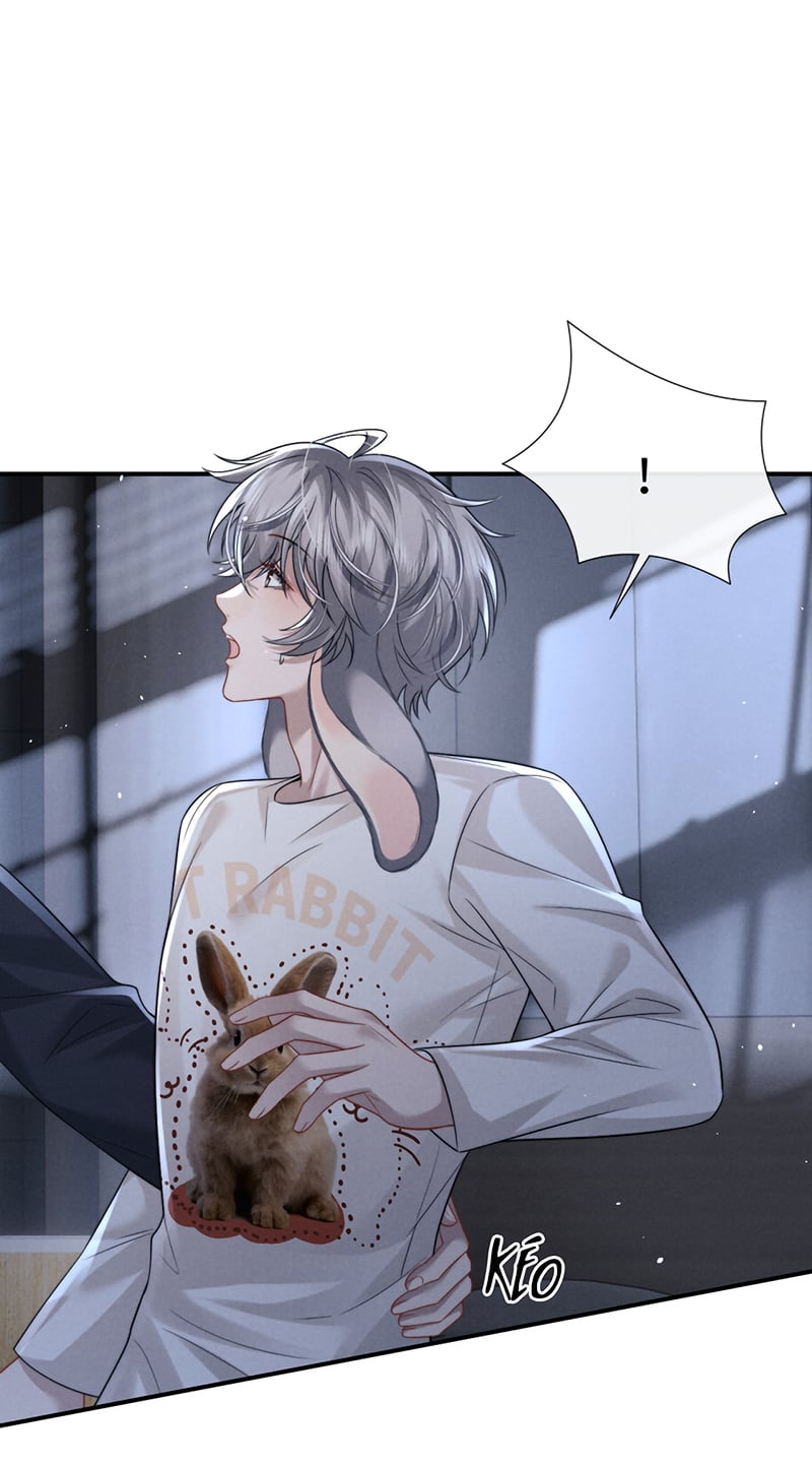 Chấp Sự Thỏ Cụp Tai Chapter 190 - Trang 2