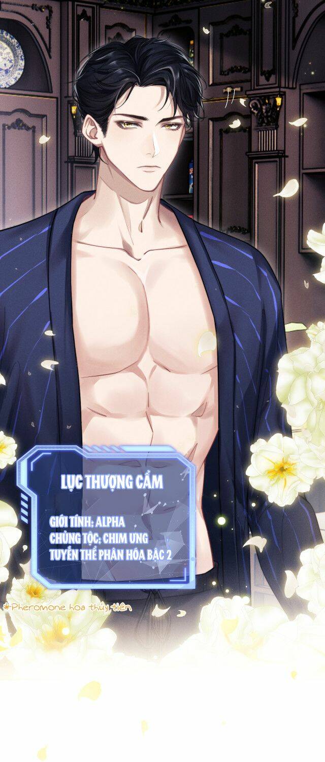 Chấp Sự Thỏ Cụp Tai Chapter 2 - Trang 2