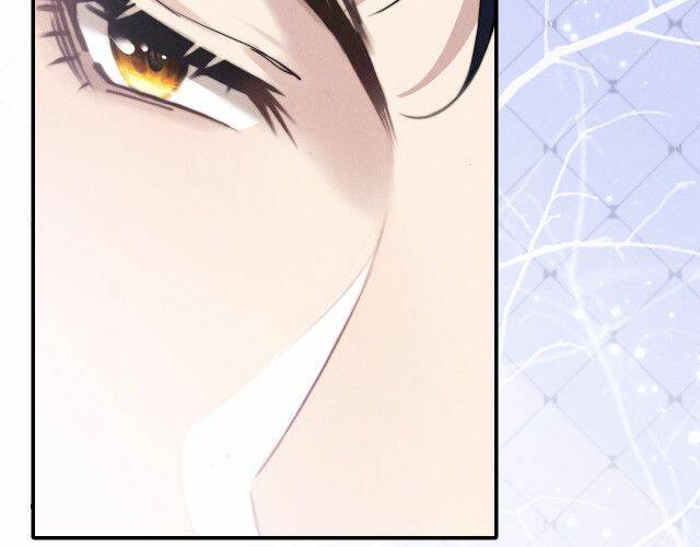 Chấp Sự Thỏ Cụp Tai Chapter 2 - Trang 2