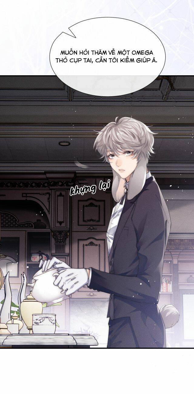 Chấp Sự Thỏ Cụp Tai Chapter 2 - Trang 2