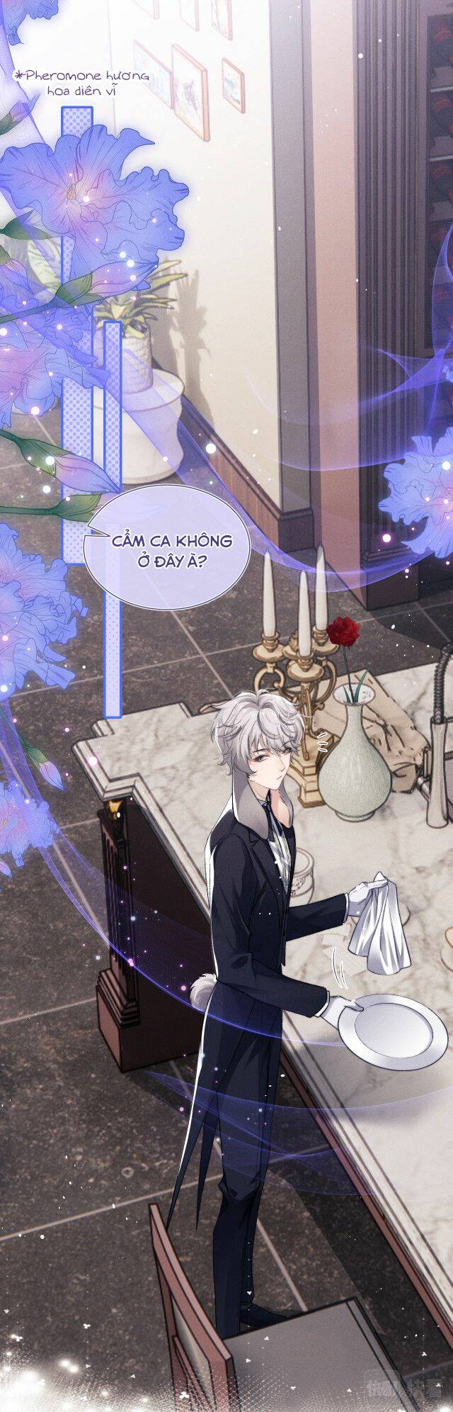 Chấp Sự Thỏ Cụp Tai Chapter 2 - Trang 2