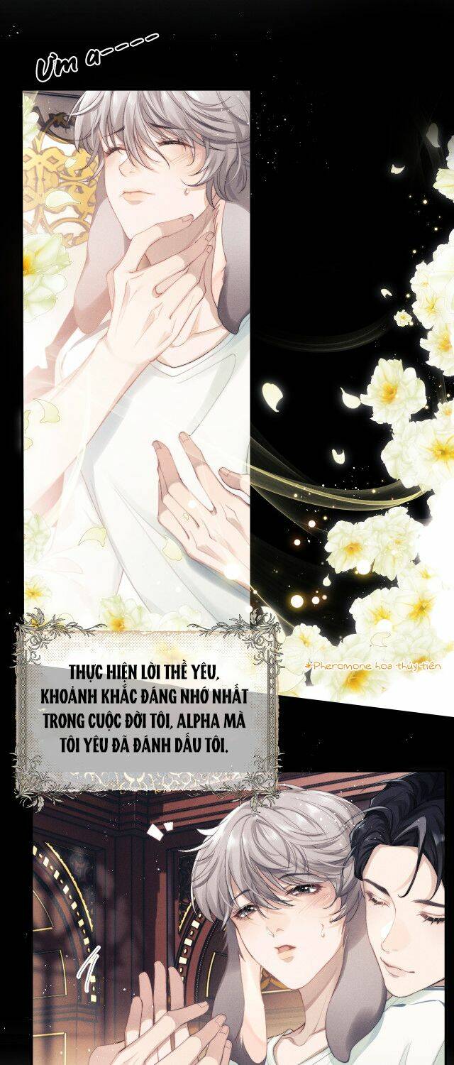 Chấp Sự Thỏ Cụp Tai Chapter 2 - Trang 2