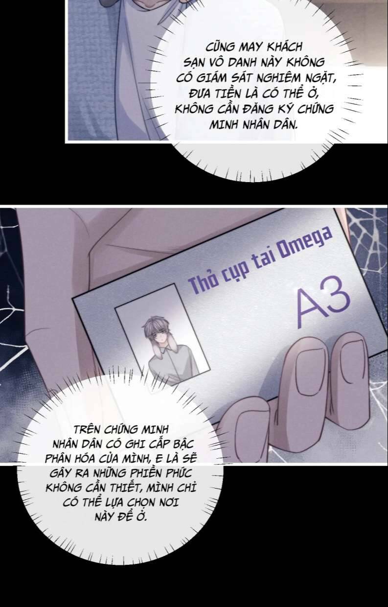 Chấp Sự Thỏ Cụp Tai Chapter 20 - Trang 2