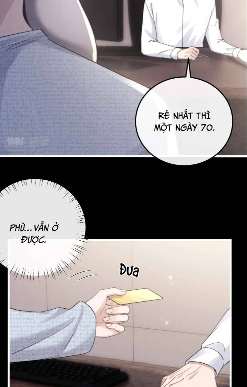 Chấp Sự Thỏ Cụp Tai Chapter 20 - Trang 2