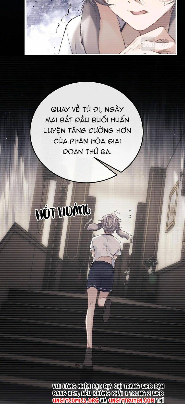 Chấp Sự Thỏ Cụp Tai Chapter 22 - Trang 2