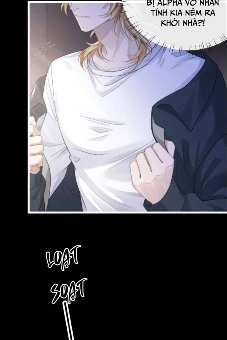 Chấp Sự Thỏ Cụp Tai Chapter 23 - Trang 2