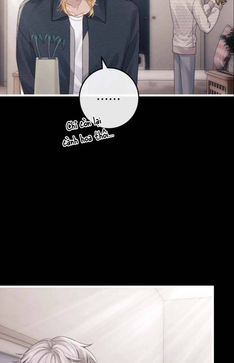 Chấp Sự Thỏ Cụp Tai Chapter 23 - Trang 2